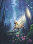 (image for) Secret Forest